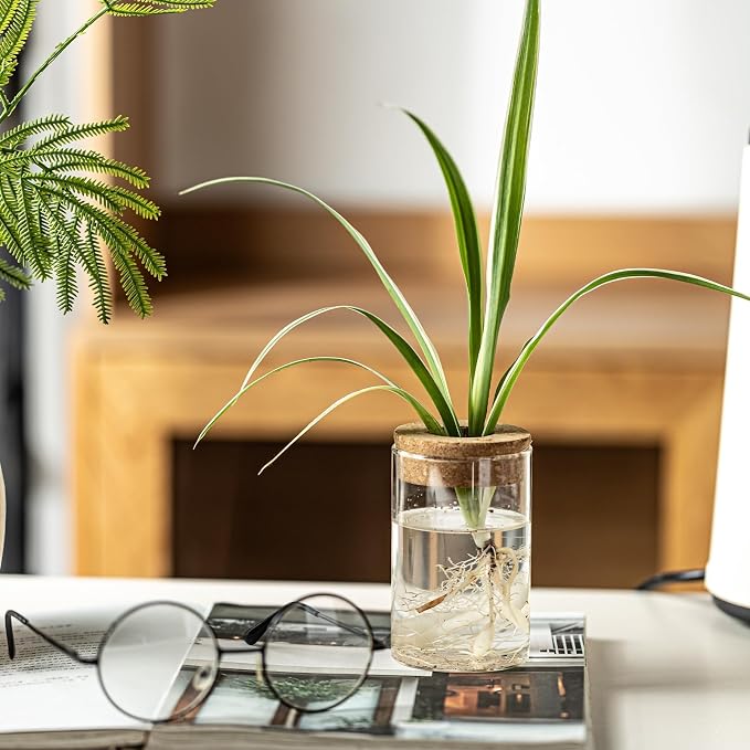 Separated Desktop Glass Flower Vases with Wooden Saucers - Ideal Plants Propagation Stations for Living Room, Bedroom Decoration,Home Decor (9)