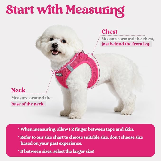rabbitgoo Dog Harness Medium Sized and Leash Set, Step-in Puppy Pet Vest | Light, Soft, Breathable Air Mesh, Easy on and Remove with Hook & Loop, Secure Reflective for Walking, Rose Red XL