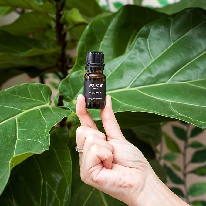 Vorda USA Spearmint Single Noted Essential Oil - 1/3 fl. oz. Perfect for Aromatherapy Essential Oil for Diffusers, Skin Use Massage Oil, Candle Making