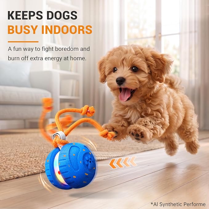 Pamlulu Interactive Dog Toys for Small & Medium Dogs, Rechargeable Motion Activated Rolling Dog Ball with 2 Speed Modes, Touch to Wake, USB-C Automatic Moving Ball for Indoor Boredom Relief