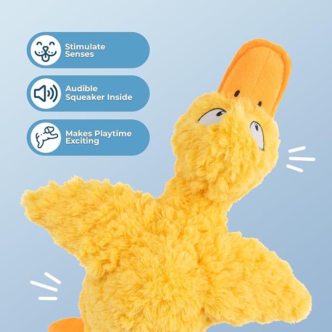 Best Pet Supplies Squeaky Plush Dog Toy - Ducky Doodle, Small | Soft Plush, Squeaks & Crinkles, Perfect for Moderate Chewers, Toss & Fetch Play, Stress & Anxiety Reliever, Ideal Gift Toy