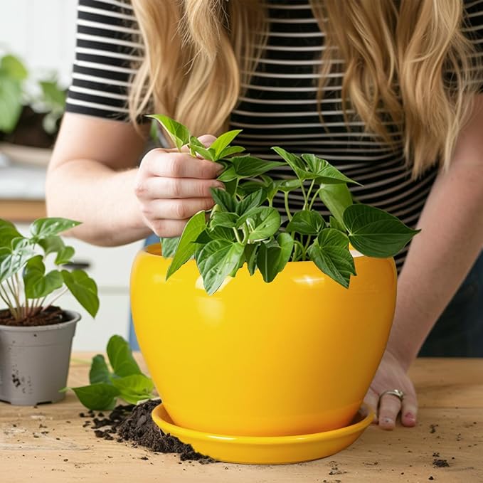 Ceramicfor 8 Inch Plant Pot - Glaze Modern Round Ceramic Planter for Indoor Outdoor Plants with Drainage Hole and Saucer for Home Patio Room Office Decor, Yellow