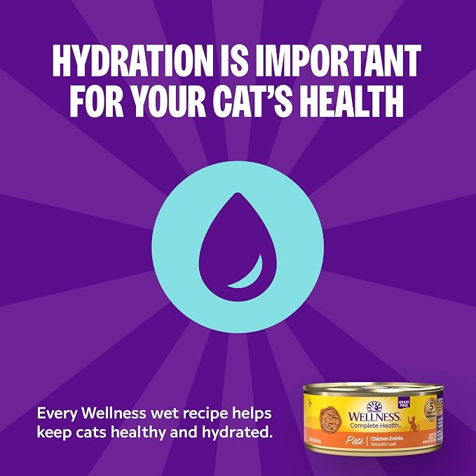 Wellness Complete Health Gravies Adult Canned Wet Cat Food, Natural, Protein Rich, Grain Free, Salmon Entrée Recipe, 5.5 oz, Pack of 12 Cans