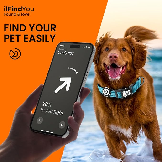 Waterproof AirTag Dog Collar with QR Code Dog Tag, Blue M | IP68 waterproof, QR code dog tag, Anti-Lost, Online profile, fits XS-L (8"-26"), Padded nylon, Reflective, No App, No Fees