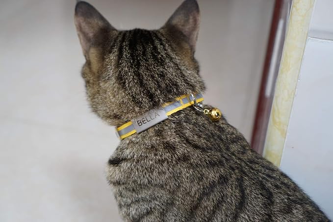 Personalized Breakaway Cat Collar with Bell & ID Tag, Reflection