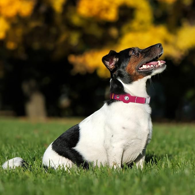 AirTag Dog Collar for Small Medium Large Breed - Adjustable Cute Pattern Dog Collar with Airtag Holder - Soft Leather Tracker GPS Apple Air Tag Pet Collars (Large, 17"-21" Neck Fit, Striped)