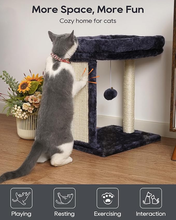 SYANDLVY Samll Cat Tree for Indoor Cats, Scratching Board Scratcher & Perch | Cat Scratching Post with 2 Dangling Balls, Great for Kittens