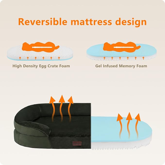 Dwanton Orthopedic Waterproof XX-Large Dog Bed Sofa, Gel Memory Foam, 48" | Egg-Crate Foam Dog Sofa, Washable Pet Bed with Four Sided Bolster Cushion, Removable Cover & Non-Slip Bottom, Green