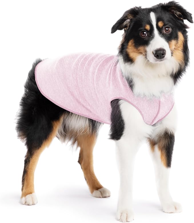 Goldpaw Dog Sun Shirt with UV Protection - Lightweight, Cooling Sun Protection Clothing for Dogs - Reduce Heat Absorption - Pet Clothes Made in the USA - Machine Washable - Size 14 - Pink Lemonade
