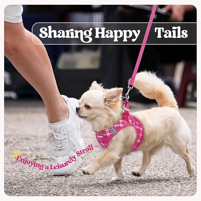 rabbitgoo Dog Harness Small Sized and Leash Set, Step-in Puppy Pet Vest | Light, Soft, Breathable Air Mesh, Easy on and Remove with Hook & Loop, Secure Reflective for Walking, Rose Red Plaid XXS