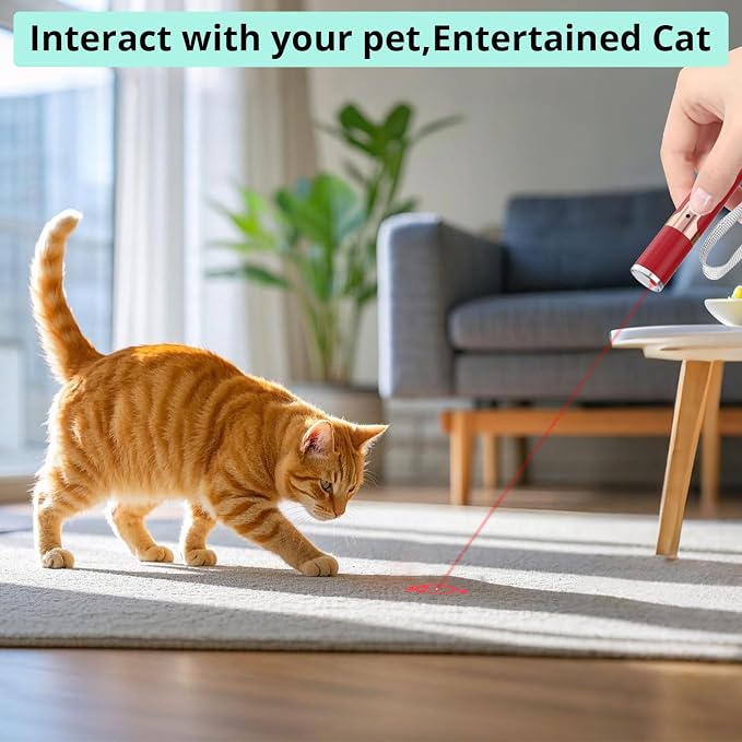 TBTeek Cat Toys, with Metal Case, 2 Pieces, Rechargeable (Red | 7 Adjustable Patterns, Cats Fun Playing Exercise Interactive Kitten Pet Dog Chase Toy