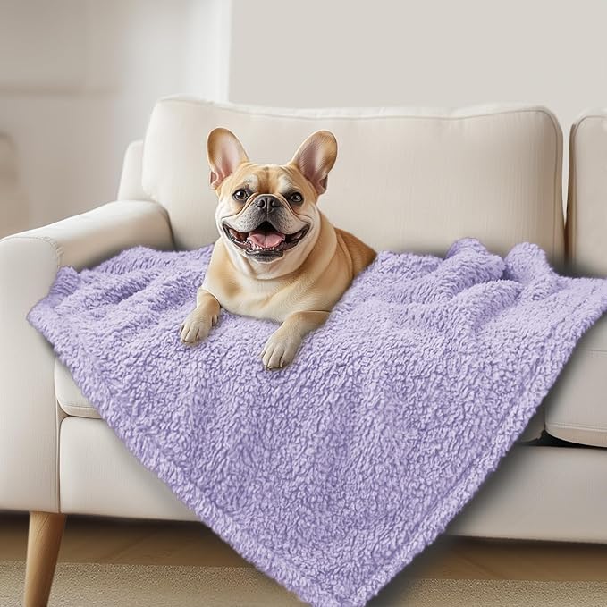 Luciphia Ultra Soft Sherpa Fleece Dog Puppy Cat Blanket for Small Pets | Calming Plush Throw for Crate, Couch, Car, Bed. Machine Washable. Puppy Essential, Cat Stuff,Violet,30"x20"