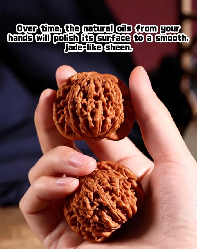 Jade Walnuts - 2026 Chinese Wenwan Walnut, Polishing Walnuts Fidget with Storage Box, Hand-Polished Natural Walnut Stress Relievers, For Meditation, Focus, And Collectors (Lion Head B, 1.42-1.46in)