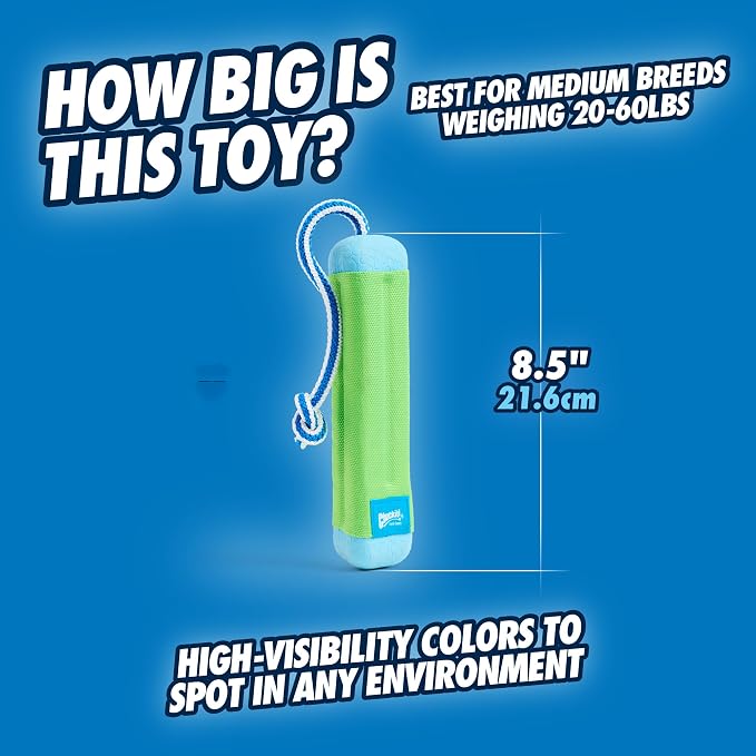 Chuckit! Amphibious Bumper Dog Fetch Toy, Small, Floats, for Water Play