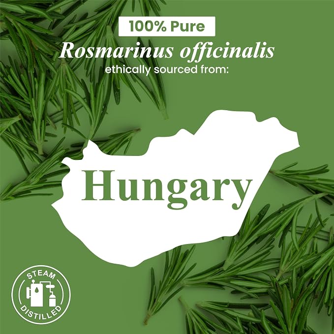 Handcraft Blends Crisp & Focused Set: Rosemary and Spearmint Essential Oils – (2 x 4 Fl Oz) – 100% Pure & Natural – for Diffuser, Aromatherapy, and DIY Projects