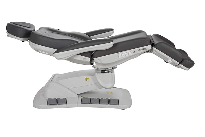 Silver Fox - Facial Chair for Esthetician, Electric Spa Treatment Chair with 4 Motors, Professional Beauty Bed, Adjustable Salon Treatment Table with 240° Rotation - 2246EB, Gray