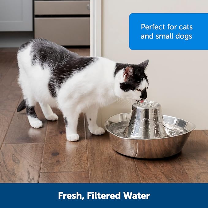 PetSafe Seaside Stainless Steel Cat & Dog Fountain, 60 Oz Water Capacity - 2 Water Filters & 1 Pump Included, Soothing Flow for Pets, Scratch-and Rust-Resistant Material - Quiet Motor (Pack of 4)