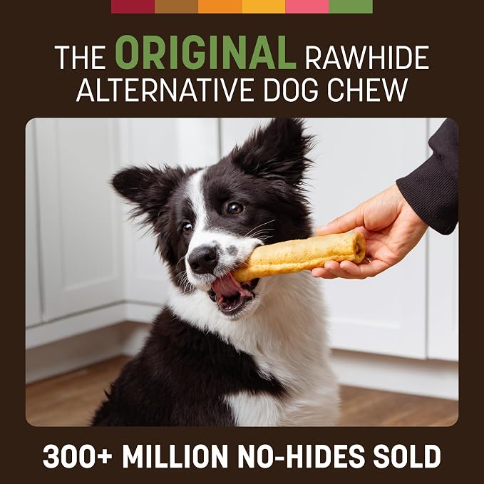 Earth Animal No Hide Dog Chews - Rawhide Free Medium Rolls 6 Count Pork | Medium Pork Flavored Natural Rawhide Free Long Lasting Dog Chews - Treats for Medium Dogs and Aggressive Chewers
