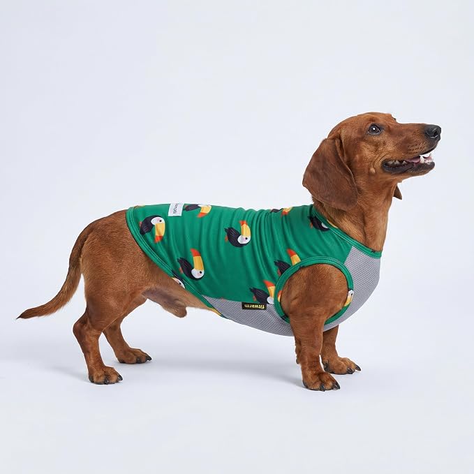Fitwarm 2 Pack Toucan & Palm Tree UPF 50+ Sun UV Protection Dog Shirt, Lightweight Cooling Vest, Quick Dry Summer Clothes for Small Dogs Boy Girl, Pet Outfit, Green, Beige, XXL