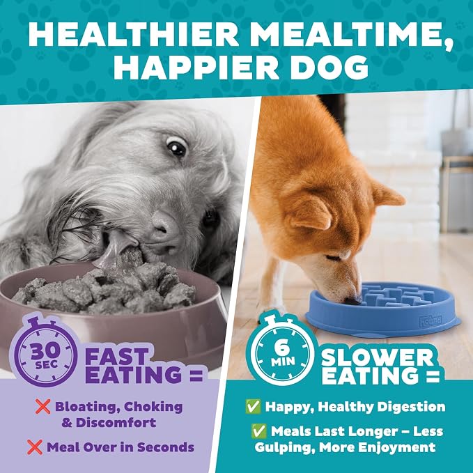 Outward Hound Fun Feeder Slo Bowl – 2‑Cup Capacity, Slow Feeding, Small to Medium Dogs & Cats, Non-Slip, Blue, Notch Pattern, Medium (Pack of 12)