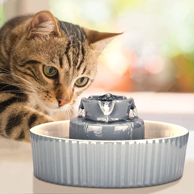 Wonder Creature Ceramic Cat Water Fountain, Stable Cupcake Design, 71oz | 2.1L Pet Fountain with Anti-Tip Ceramic Design, 2 Quiet Pumps, 360° Water Flow, 3 Filters for Cats and Dogs