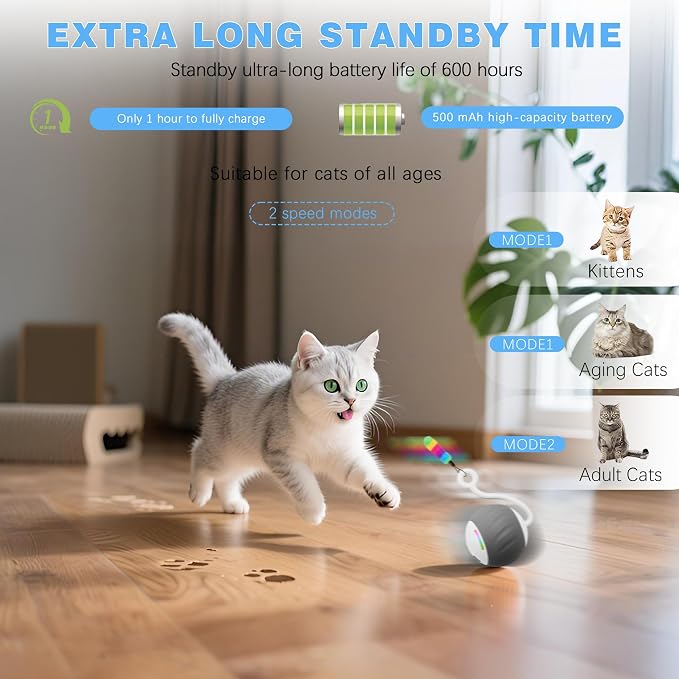 Upgraded 2.36 Inch Large Interactive Cat Toys Ball for Indoor Cats, Gray