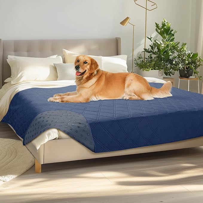 Luciphia Waterproof Couch Cover for Dogs, Non-Slip Pet Sofa Protector | Non-slip waterproof couch cover scratch-resistant machine washable protects sofa bed from spills fur, Navy Blue, 68" x 82"