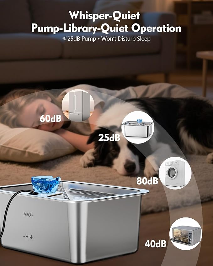 3 Gallon Stainless Steel Dog Water Fountain, Large Dogs, 2 Filters | 3-gallon stainless steel dog water fountain with quiet flow, easy-clean parts, 2 filters, plus a shallow bowl for large dogs.