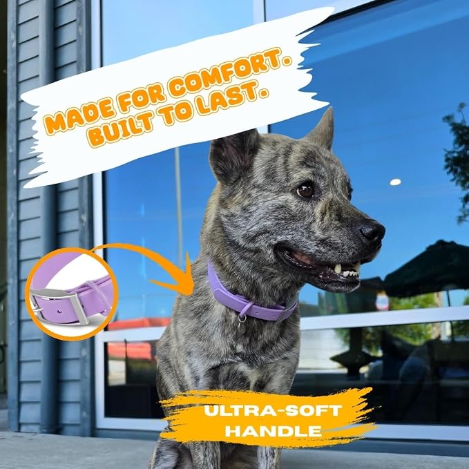 Waterproof Dog Collar, Soft Comfortable Pet Collars, Adjustable Odor Proof Heavy Duty Dog Collars Easy to Clean for Large, Medium Small Dogs by Bee N Buu (Purple, Medium (length12-16, Width 3/4"))