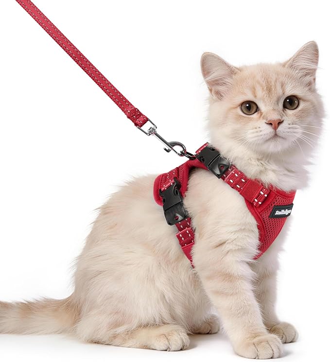 rabbitgoo Cat Harness and Leash, Easy-on with Neck Buckle, Red