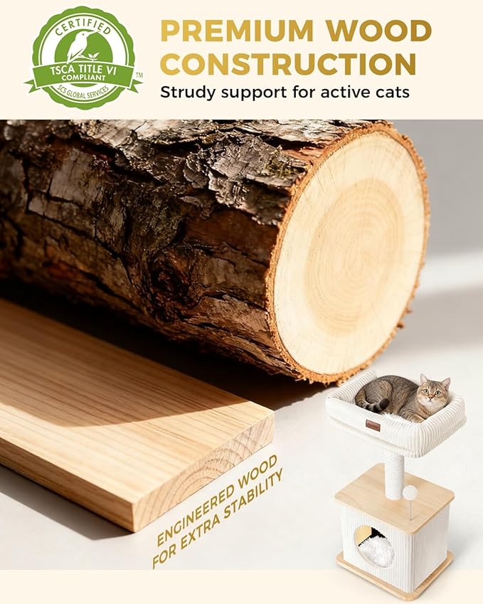 Small Cat Tree for Indoor Kittens, 30" Compact Modern Cat Tower | Natural Bamboo Cozy Condo, Soft Padded Perch, Sisal Scratching Post, Dangling Ball Toy, Stable Base, for Cats up to 15 lbs