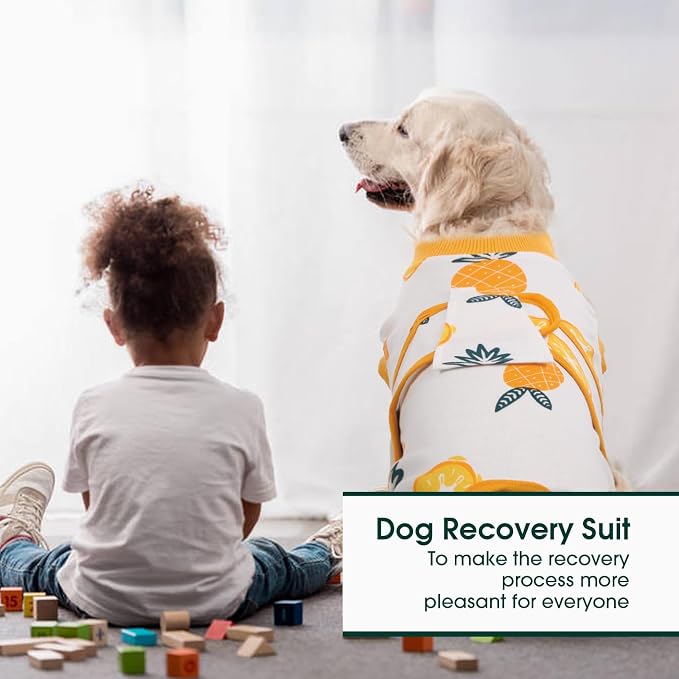 Kuoser Recovery Suit for Dogs Cats, Soft Dog Surgery Suit Female Male Spay | Professional Dog Onesie for Surgery, Substitute E-Collar & Cone, Prevent Licking Dog surgical suit Pet Neuter Suit