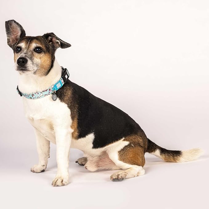 Max & Molly Urban Pets Smart ID Dog Collar - Soft Neoprene, Waterproof, Machine Washable, Power Buckle, Gotcha! QR Tag & Custom App Profile, Unicorns L