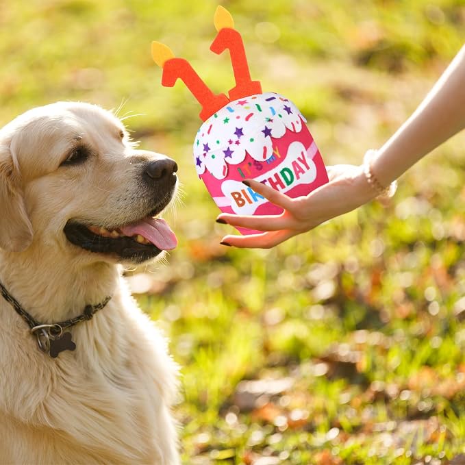 Dansydaisy Dog Birthday Cake Toy Squeaky Plush Gift,11th,Pink