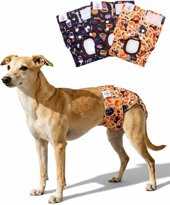 CuteBone Dog Diapers Female Halloween Washable Small Medium Large 3 Pack Reusable Doggie Diapers Puppy Period Pants for Doggy Heat Cycle Peeing D83XL