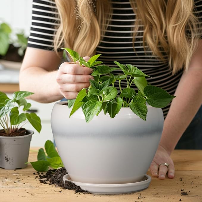 Ceramicfor Ceramic Planter - 8 Inch Plant Pot with Drainage Hole and Saucer, Glaze Round Flower Pot for Home Garden Patio Office, White