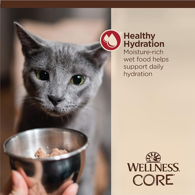 Wellness CORE Tiny Tasters Minced Adult Wet Cat Food, Natural, Protein Rich, Grain Free, Chicken and Beef Recipe, 1.75 oz, Pack of 12 Pouches