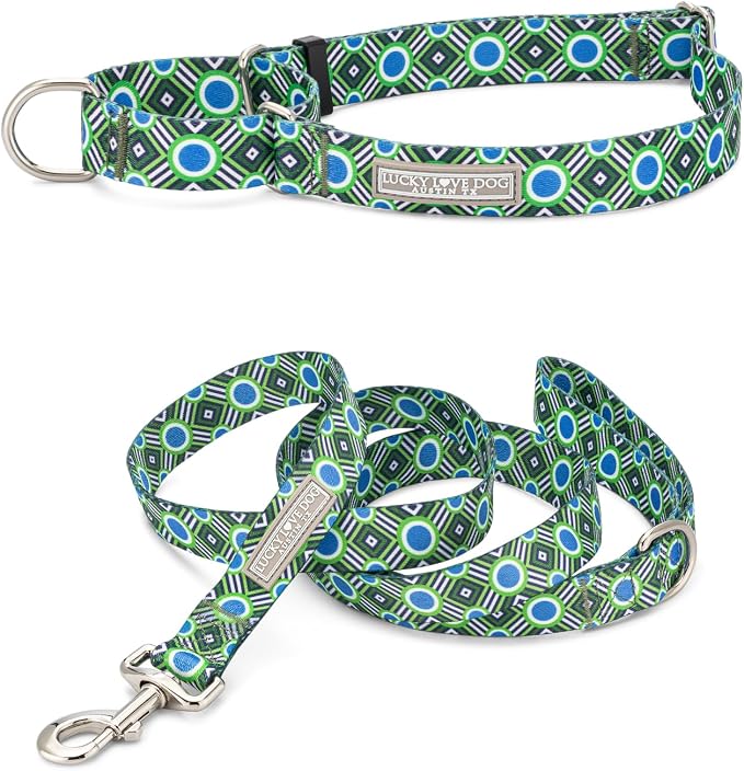 Lucky Love Dog Martingale Collar & Leash Set No Slip Cute – Leo, Medium