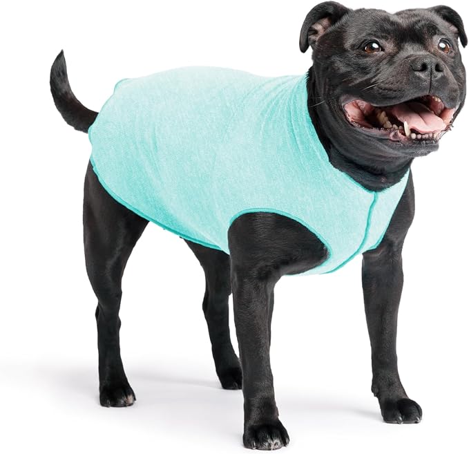 Goldpaw Dog Sun Shirt with UV Protection - Lightweight, Cooling Sun Protection Clothing for Dogs - Reduce Heat Absorption - Pet Clothes Made in the USA - Machine Washable - Size 16 - Baja Beach