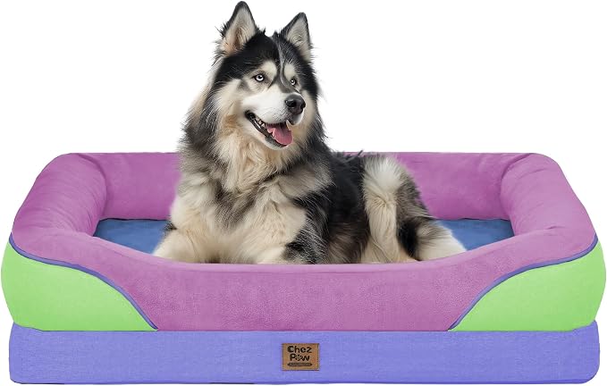 Orthopedic Washable XXL Dog Bed for Extra Large Dogs | Egg Crate Foam, 4-Sided Bolster Support, Waterproof Liner, Non-Slip Bottom, Removable Bolster Cover, 45 x 35 Inch