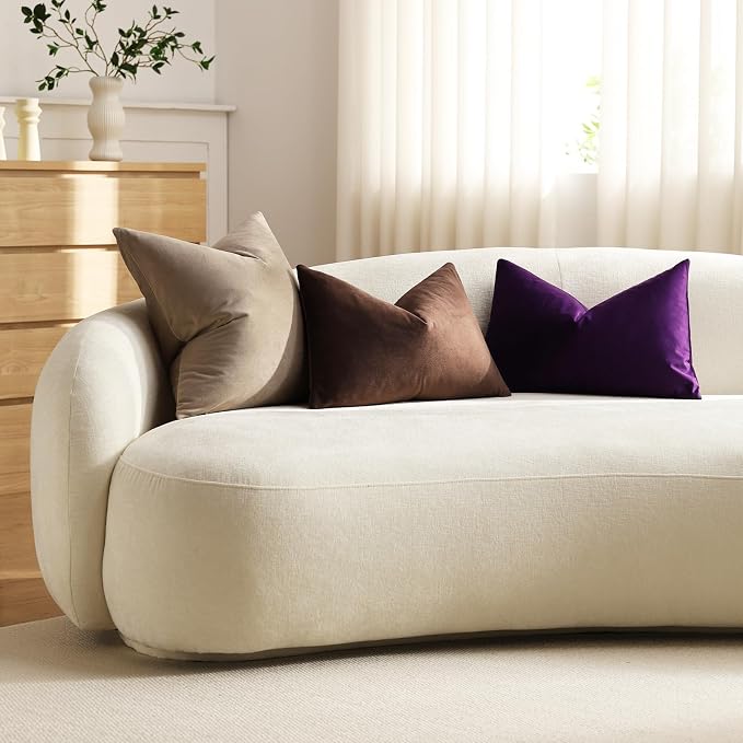 Lumbar Pillow Covers 12x20 Chocolate Brown: Pack of 2 Cozy Soft Velvet Rectangular Modern Luxury Decorative Throw Pillow Cases for Sofa Couch Living Room Bed Home Decor