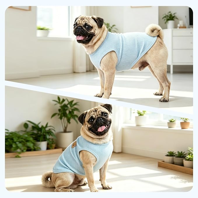 Dog Clothes for Small Dogs, Pet T-Shirt for Boys and Girls | Waffle Knit Dog Tank Top,Comfortable for Summer&Winter,Perfect for Dachshund(3PCS,XLarge)