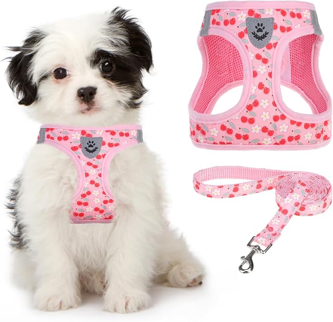 KOOLTAIL Dog Harness for Small Medium Dogs,Dog Harness and Leash Set, Step in No Pull Soft Mesh Padded Adjustable and Reflective Pet Vest Harness Puppy, Plaid Extra Harness for XS S Dogs,Pink Cherry,S