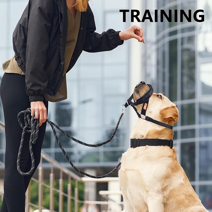 Dog Head Collar with Soft Fabric, Head Harness Stops Dog Pulling, Head Leash for Small Medium Large Dogs Walking (S,Orange)