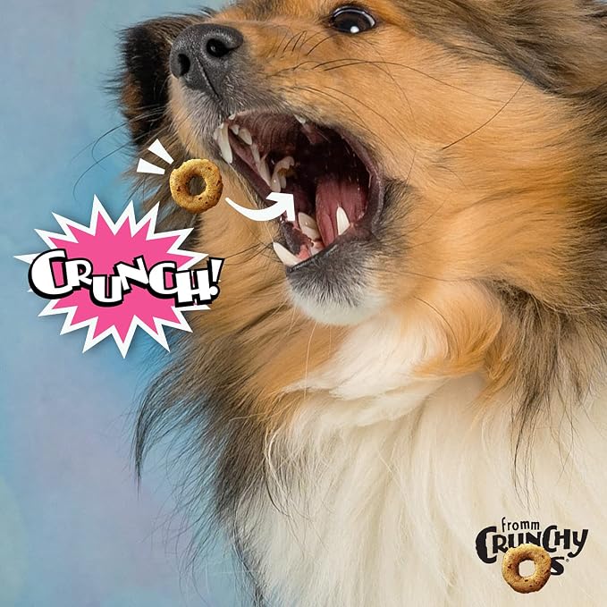 Fromm Crunchy Os Slammon' Smoked Salmon Dog Treats - Salmon Recipe - 6 oz