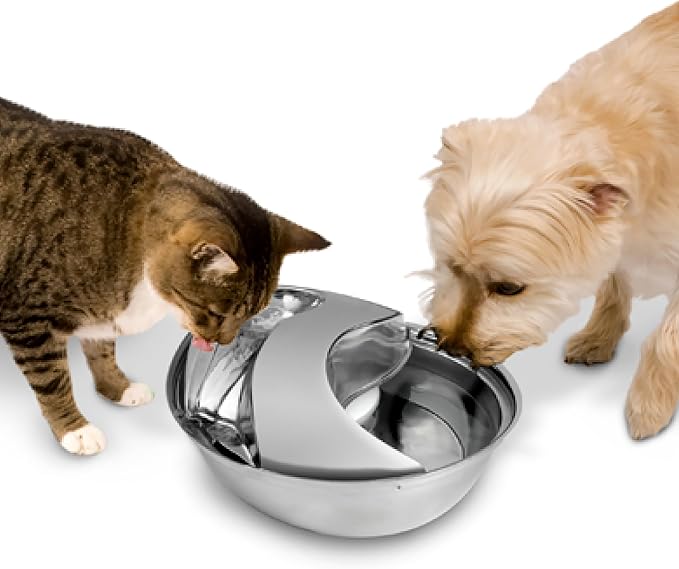 Pioneer Pet Stainless Steel Fountain Raindrop Design , 60oz