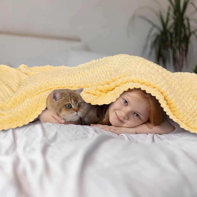 Vessia Flannel Fleece Throw Blanket, 3D Jacquard Light Yellow Fuzzy and Warm Blanket for Couch,Sofa,Bed,Chair, 300GSM Soft Touch Cozy Throw for All-Season Home Decor(50x40inch)