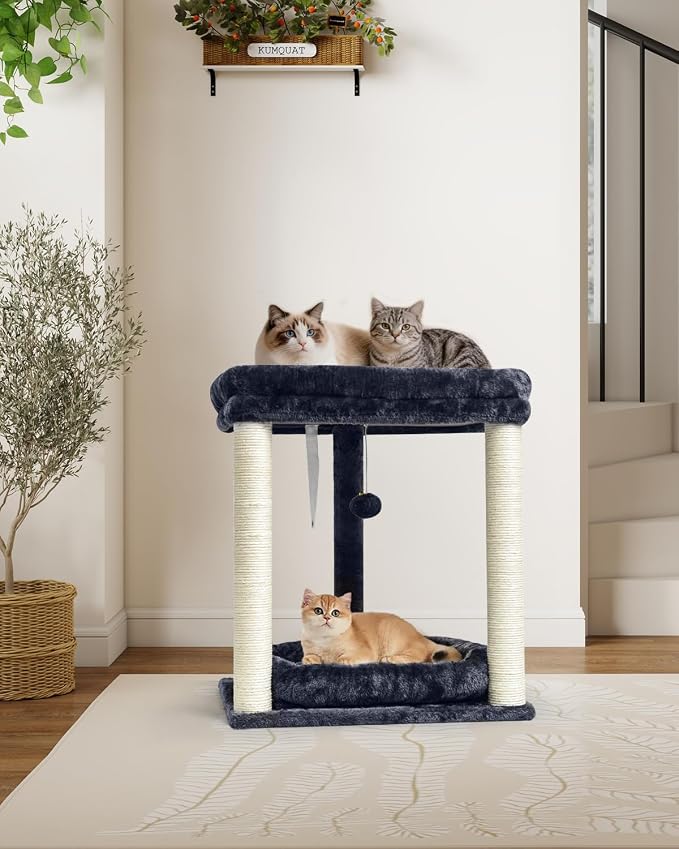 SYANDLVY Small Cat Tree for Indoor Cats with 2 Levels Perch Platforms | Natural Sisal Scratching Post Tower with Hanging Bell Ball & Anti-Tip Strap, Stable Cat Perch Furniture for Kittens, Smoky