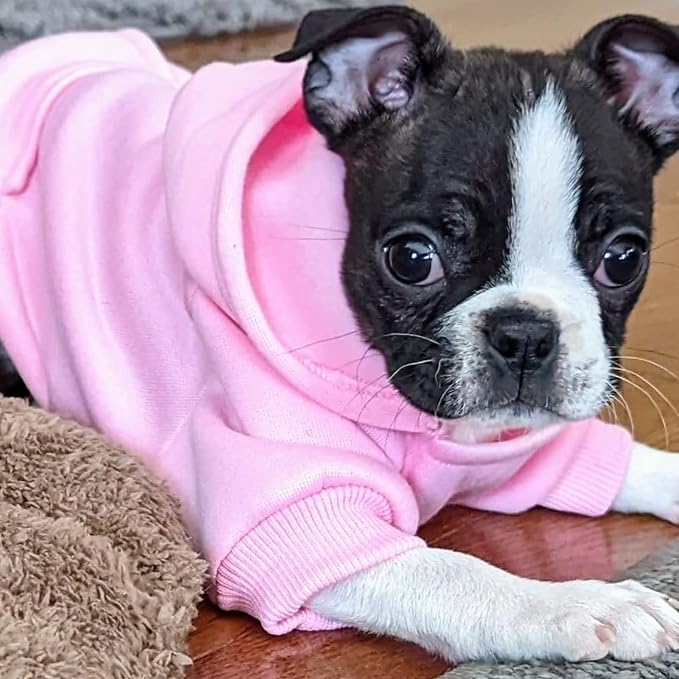 Soft Dog Hoodies for Small Dogs, Warm Fleece Puppy Clothes with Pocket | Jecikelon cold weather coat, cute puppy costume, breathable sweatshirt for dogs girl & boy, machine washable, easy on & off