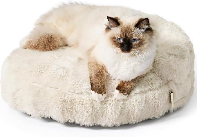 EHEYCIGA Soft Cat Couch Bed for Indoor Cats, Fluffy Small Dog Bed with Removable Washable Cover, Bolster Pet Sofa, Waterproof and Non-Slip, 24" x 24"x 7", Cream